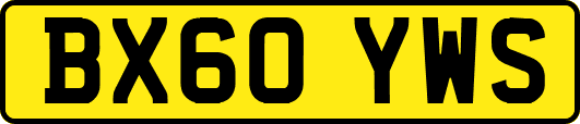 BX60YWS