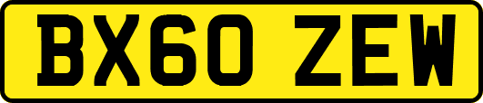 BX60ZEW