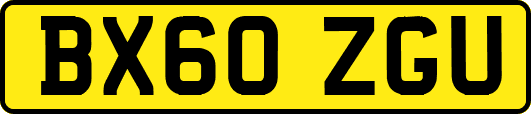 BX60ZGU