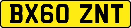 BX60ZNT