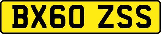 BX60ZSS