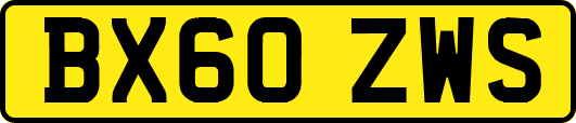 BX60ZWS