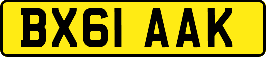 BX61AAK