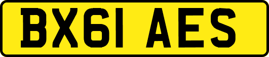 BX61AES