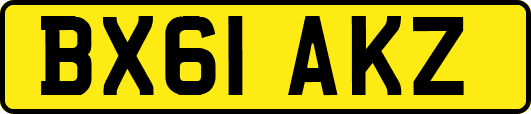 BX61AKZ