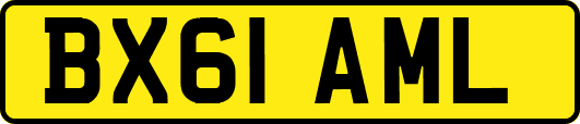 BX61AML