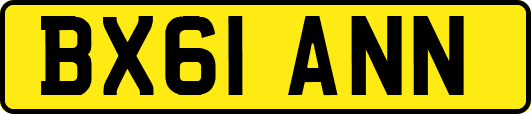 BX61ANN
