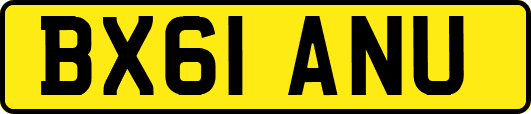 BX61ANU