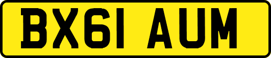 BX61AUM