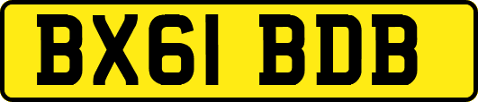 BX61BDB