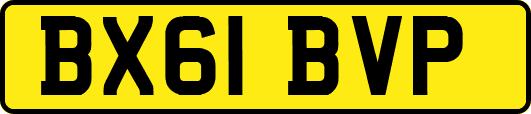 BX61BVP