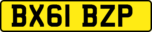 BX61BZP