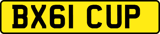 BX61CUP