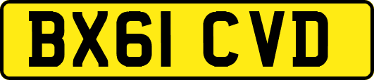 BX61CVD