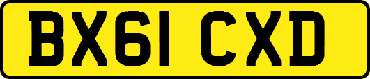 BX61CXD