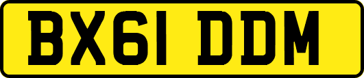 BX61DDM