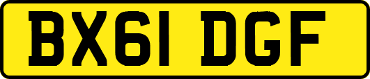 BX61DGF