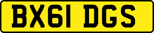 BX61DGS