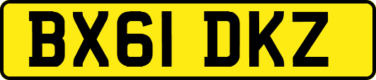BX61DKZ