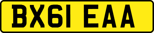 BX61EAA