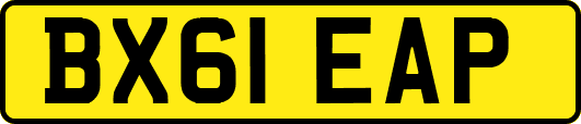 BX61EAP