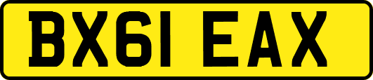 BX61EAX