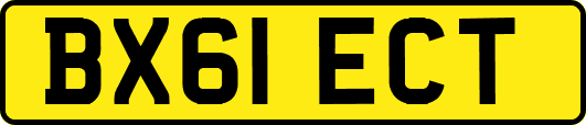 BX61ECT