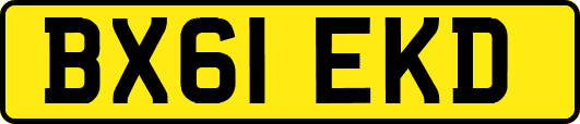 BX61EKD