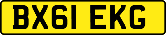 BX61EKG