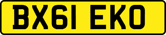 BX61EKO