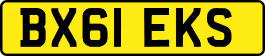 BX61EKS