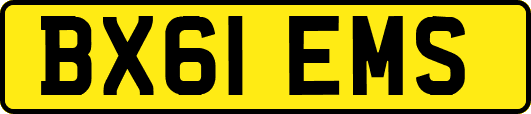 BX61EMS