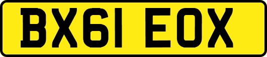 BX61EOX