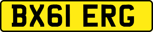 BX61ERG