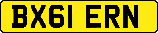 BX61ERN