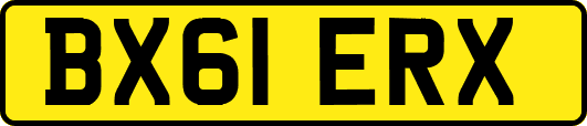 BX61ERX