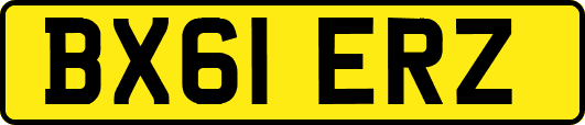 BX61ERZ