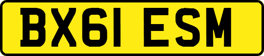 BX61ESM