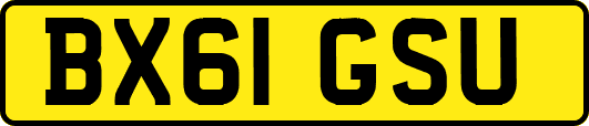 BX61GSU