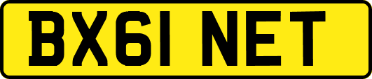 BX61NET