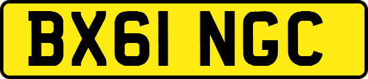 BX61NGC