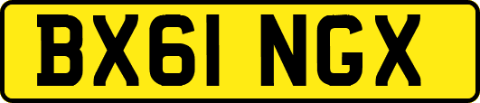 BX61NGX