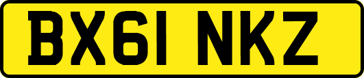 BX61NKZ