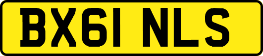 BX61NLS