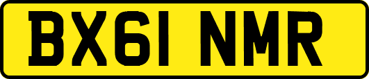 BX61NMR