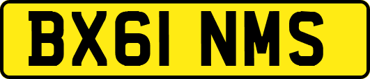 BX61NMS