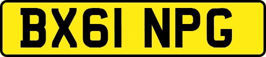 BX61NPG