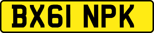 BX61NPK