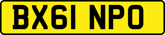 BX61NPO