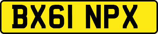 BX61NPX